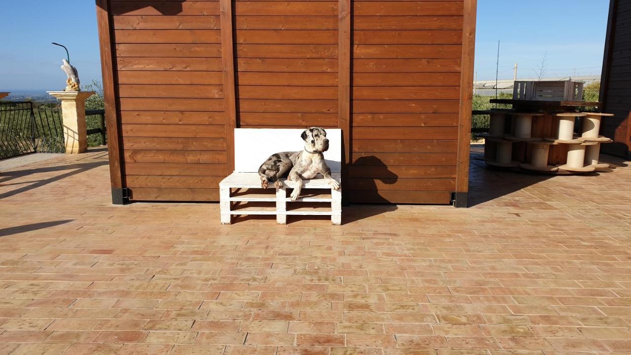Agriturismo Duca Di San Martino Villa Partanna Exteriör bild